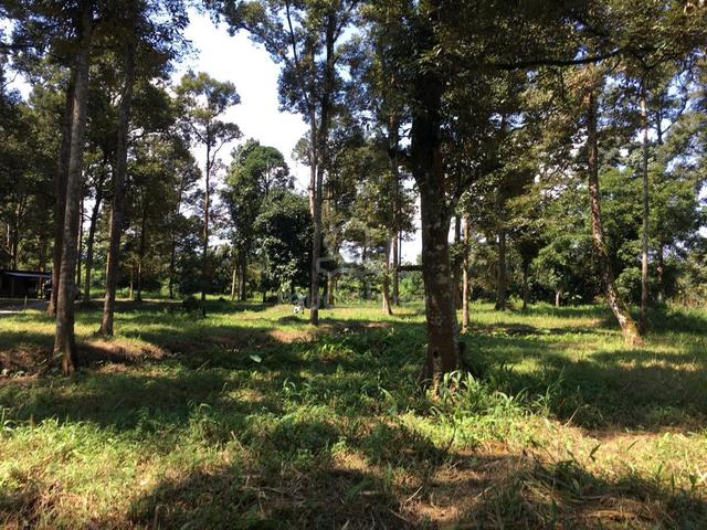 TANAH RETREAT 2.8 Ekar BATANG KALI, Cantik, Sesuai Homestay, Agro 1