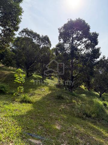 Agriculture land at Tamparuli for sale 1