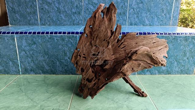 Carousel Image