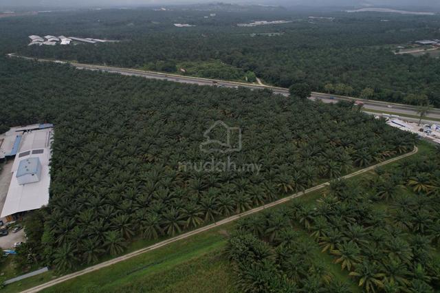 Industrial Land for Rent in Nibong Tebal (Next to Highway) Strategical 1