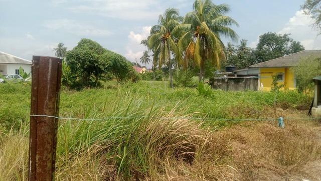 Bungalow Lot (Kapar)
- Freehold
1