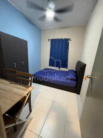 Rumah Sewa Tasek Gelugor 1