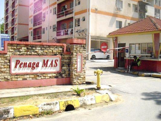 Penaga Mas 1