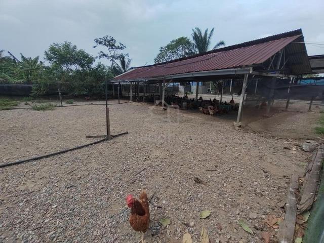 1.1 EKAR TANAH🔥Bungalow & Reban Ternakan Ayam🔥Kg Sri Kendong Rembau 5