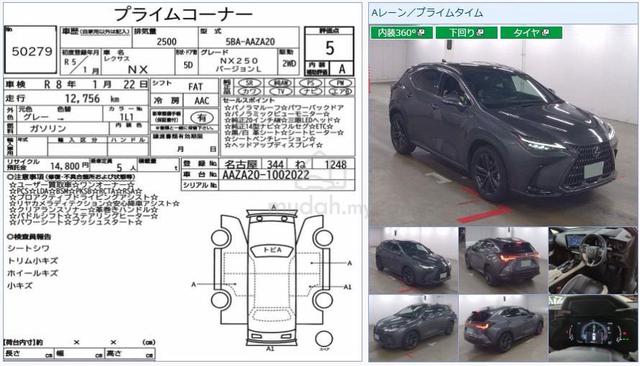 2023 Lexus NX250 2.5 LUXURY New Car Grd 5A Unreg - 3
