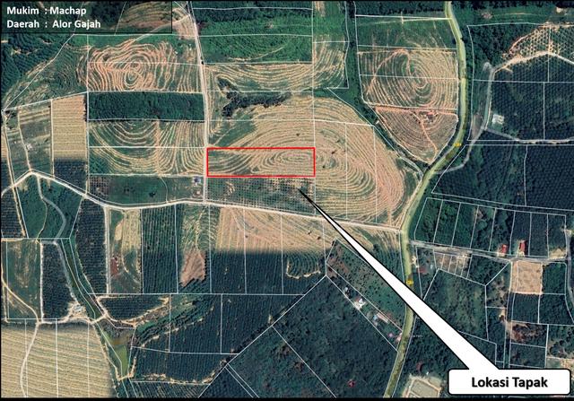 Tanah Pertanian Untuk Dijual Machap, Alor Gajah, Melaka 3