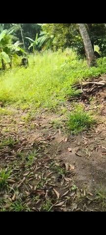 gran bersama yg telah diplot 1