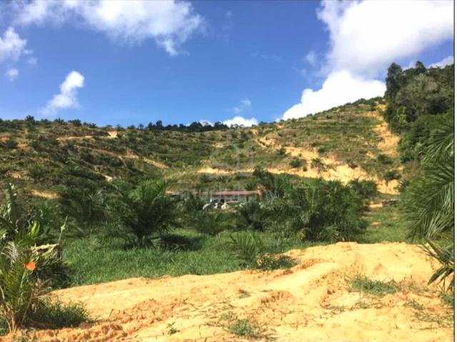 Negeri Sembilan Kuala Pilah Johol 510acre Agriculture Residential Land 3