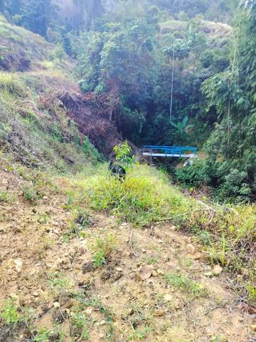 Raub Town Area Durian Farm for sell 4