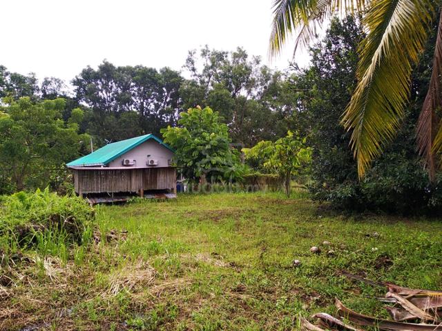 1.12 acres Orchard farm at Nusa Dusun Orchard Resort, Kuala Linggi 2