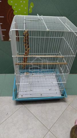 Carousel Image Selected