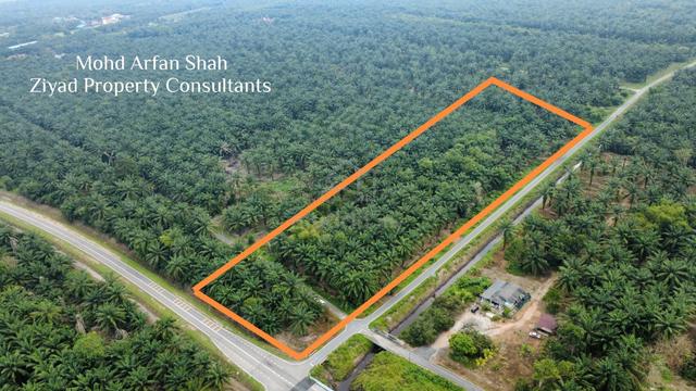Agriculture Land, Serkat, Pontian, Johor 1