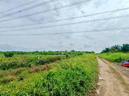 Super Huge Land Near 10000 K Acres Agriculture For Sales Terengganu 1
