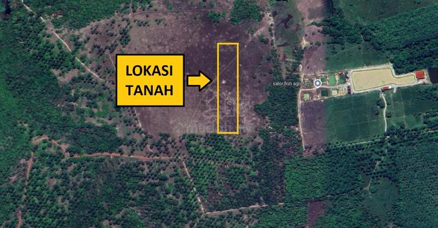 [ CANTIK DAN MURAH ] 2 Ekar Tanah Pertanian APAM PASIR MAS 1