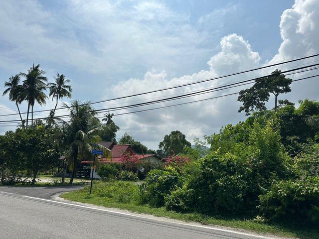 First Grade A Land 12,066sf Road Side at BALIK PULAU JALAN BHARU Cheap 1