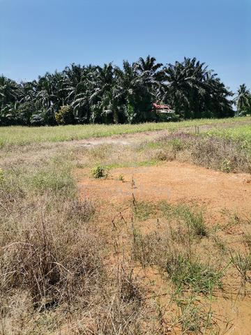 tanah/binaan rumah  1