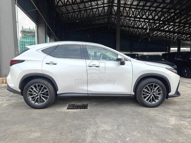 2023 Lexus NX 250 5A P/Roof 4Cam HUD Black Leather - 5