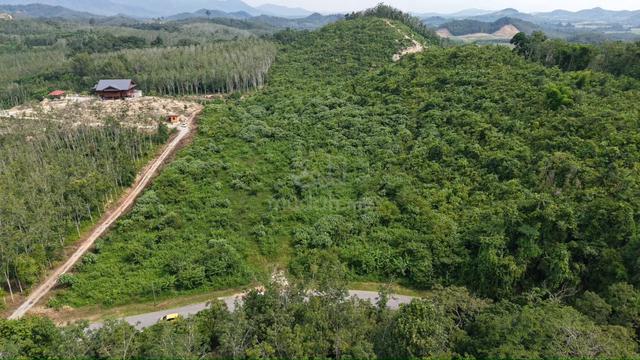 TEPI JALAN UTAMA!!Tanah Untuk Dijual Di Pendang 1