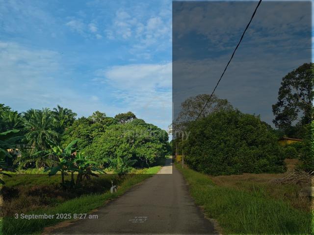 Kebun Batu 8 Mersing Johor 1