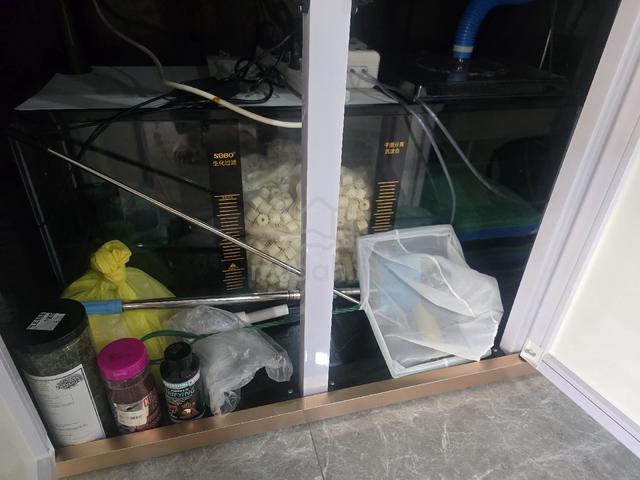 fish tank  - photo 5 of 5