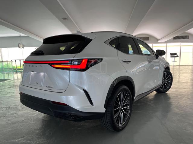 2023 Lexus NX 250 2.5 LUXURY (A) - 3