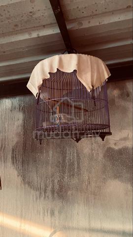 Carousel Image Selected