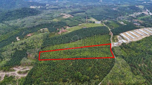9.9 Ekar Tanah Pertanian Tampin Negeri Sembilan 5