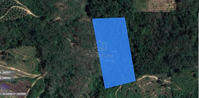 Tanah Pertanian Untuk Dijual 3