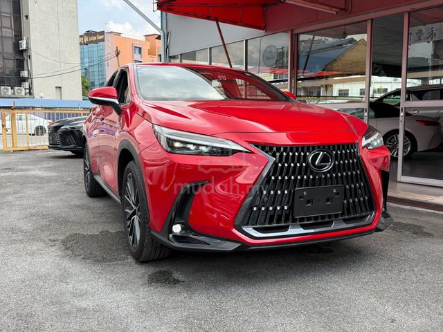 2021 Lexus NX250 RED RED Leather 27km - 3