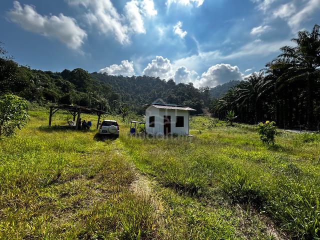 Tanah Pertanian Mukim Kulai (Kampung Sri Gunung Pulai 2), Pekan Nenas 1