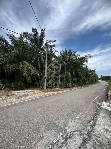 Tanah 5 ekar berhampiran Teluk Mahkota Bagan 1