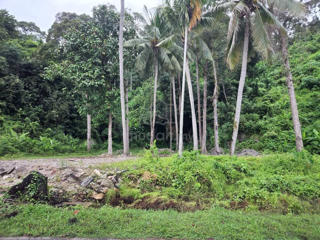 Agricultural/Development Land, Jalan Teluk Tempoyak, Bayan Lepas, Pg 1