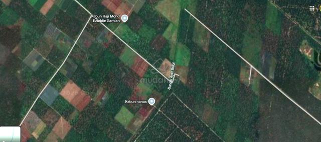 Pekan Nanas, Pontian @ Agricultural Land For Sale (Johor) 1