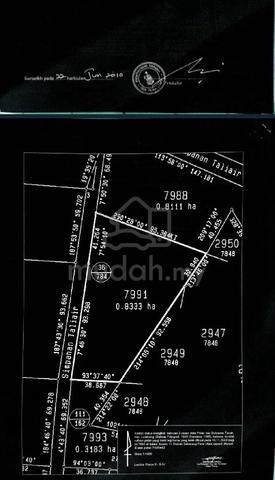 Tanah nyior sebatang seberang perai utara 1