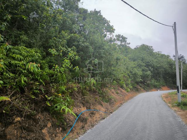 1 acres Orchard Land at Pedas Fruits Park, Kg. Kindur Hulu 1