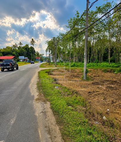 Tanah Strategik 31000kps tepi jln bandar Baru Tanah Merah 1