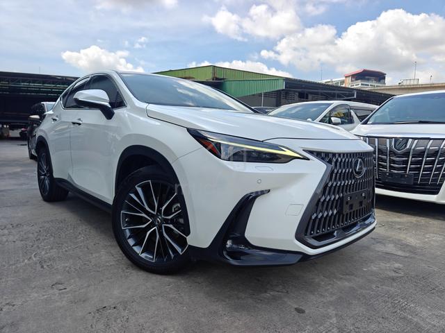 2023 Lexus NX 250 VL S/R 4Cam DIMHUD RedLeather PB - 1