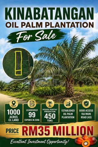 Kinabatangan Oil Palm Plantation 1