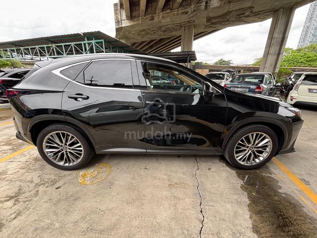 2023 Lexus NX 250 2.5 V.L (A) SUV - 4