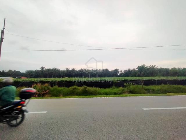 Agriculture land for future investment 1