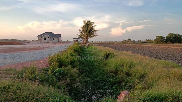 Tanah Prima di Pendang, Kedah 1