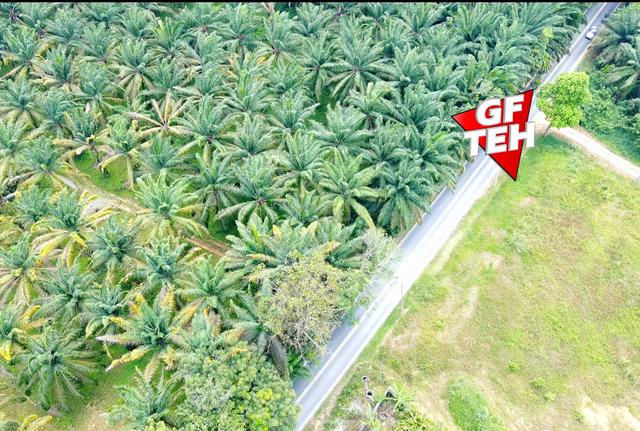 6.73 acre Wide Reserve Road | Agricultural Land |Bukit Mertajam|Penang 1