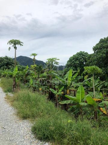 Tanah Cantik Kg Gumut Tambahan - Direct Owner 1