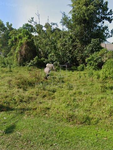 TANAH LOT BANGLO KG AIR CHUKAI, KEMAMAN UNTUK DiJUAL❗ 1