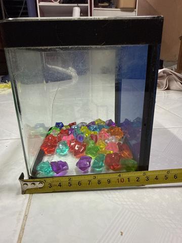 small aquarium 1/2 ft - photo 3 of 3