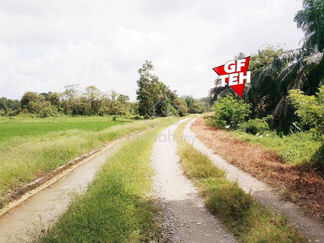 1.71 Acre Agricultural Land|Padang Meha|Paddy Field|Karangan | Kedah 1