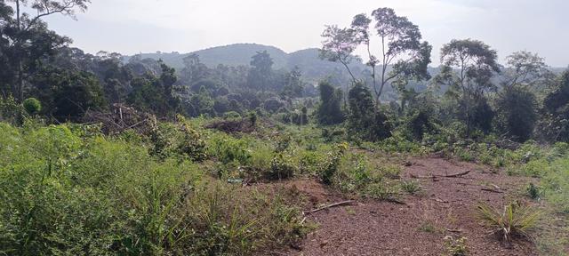 Tanah mukim Paya Rumput Melaka tengah 1