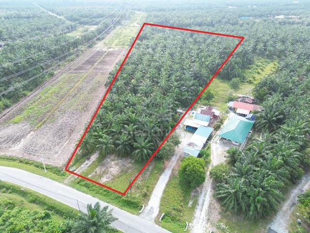 FREEHOLD NICE Tanah Pertanian Jalan Bandar Kampung Chodoi Banting 1