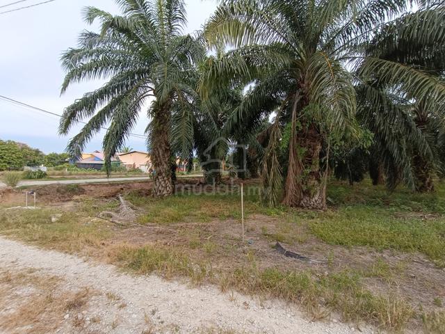 Tanah tepi jalan di jeram, kuala selangor 1