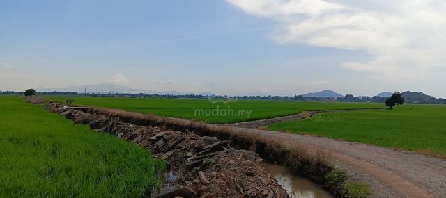 Tanah bendang untuk dijual โ Bukit Choras, Pendang, Kedah ๐พ 1